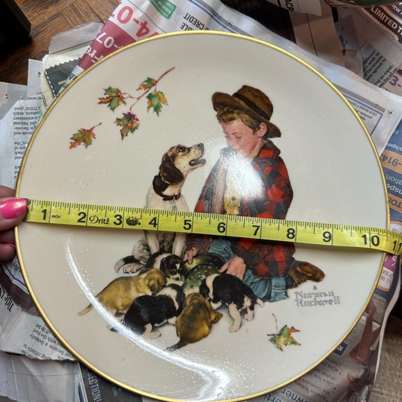 7 Norman Rockwell plates size 10 1/2 “ size